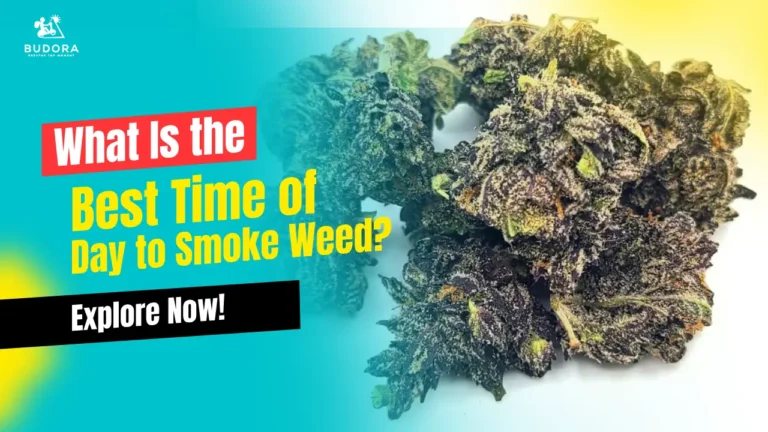 Best Time of Day to Smoke Weed
