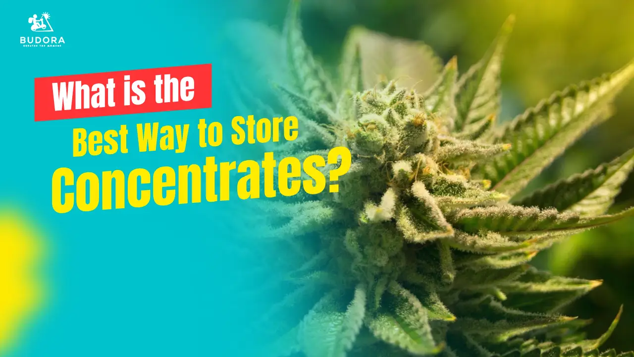 Best Way to Store Concentrates