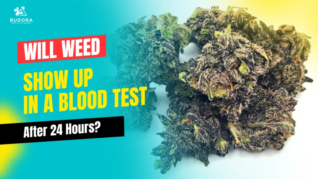 Will Weed Show Up in a Blood Test After 24 Hours