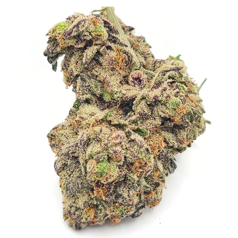 Budora Weed Delivery in Ontario 3 ace of spadess aaaa Budora Weed Delivery in Ontario ace of spadess aaaa