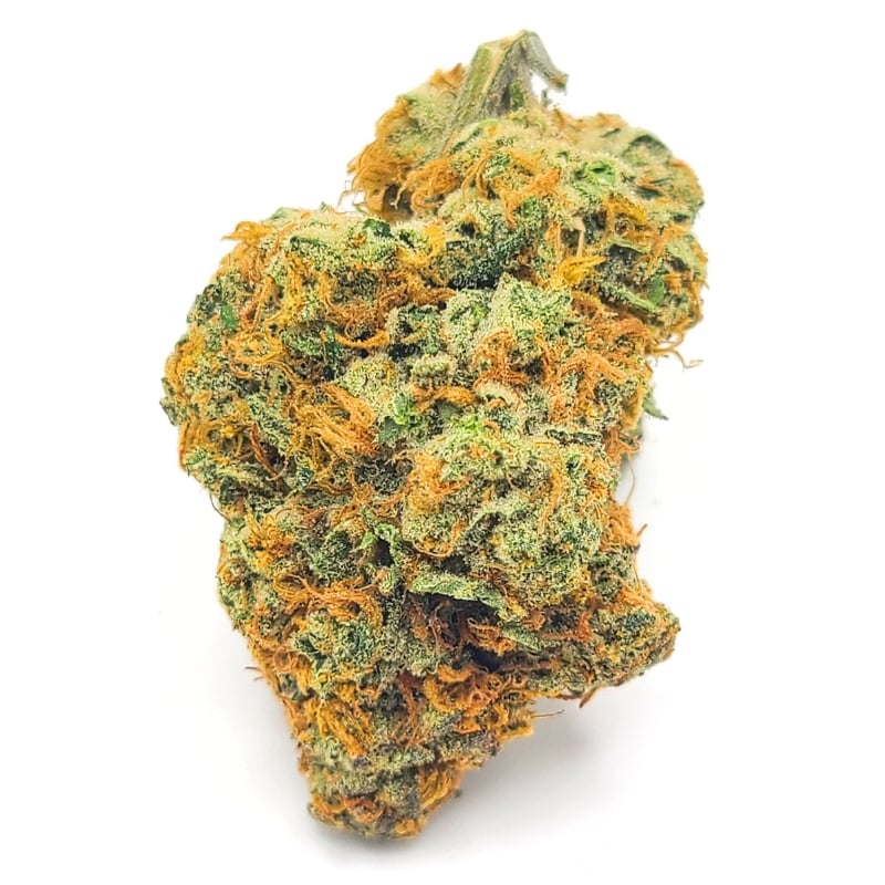 Budora Weed Delivery in Ontario 4 cosmic fuel aaaa Budora Weed Delivery in Ontario cosmic fuel aaaa