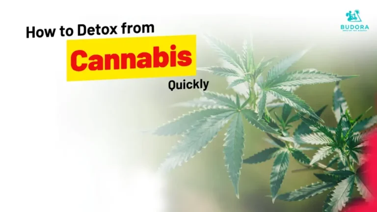How to Detox from Cannabis Quickly