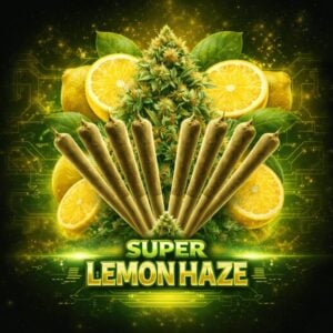 Super Lemon Haze Pre-roll Joints (0.7g) - Pack of 5