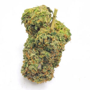 El Chapo OG LSO AAAA+