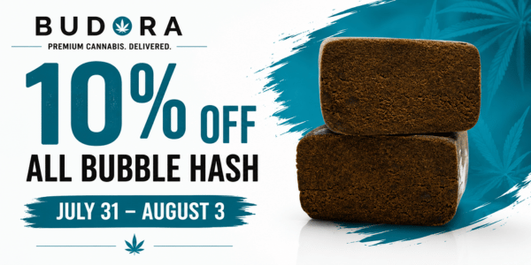 10% off (600 x 300 px) (68)
