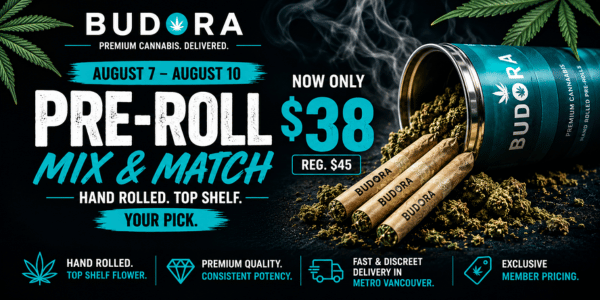 10% off (600 x 300 px) (71)