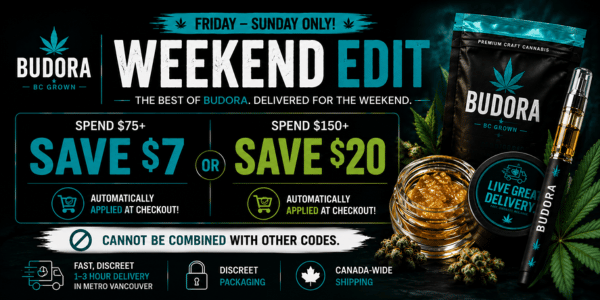 10% off (600 x 300 px) (76)