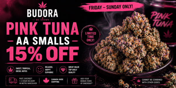 10% off (600 x 300 px) (77)