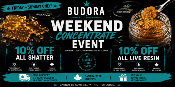 10% off (600 x 300 px) (78)